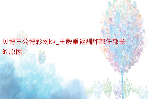 贝博三公博彩网kk_王毅重返酬酢部任部长的原因